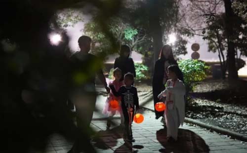武漢植物園2020年萬圣節(jié)活動安排