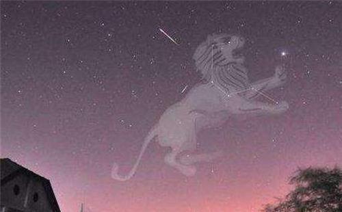 獅子座流星雨17日19時(shí)迎來(lái)極大 觀測(cè)指南