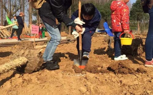 2021年武漢植樹節(jié)活動(dòng)哪里可以種樹