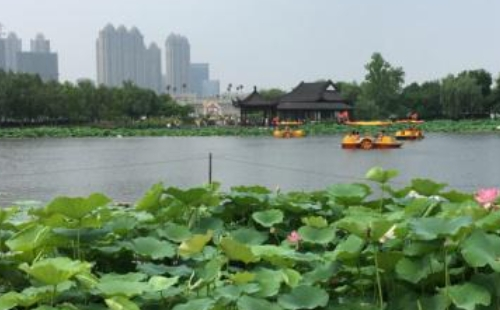 2021年沙湖公園近期活動(dòng)匯總（6月）