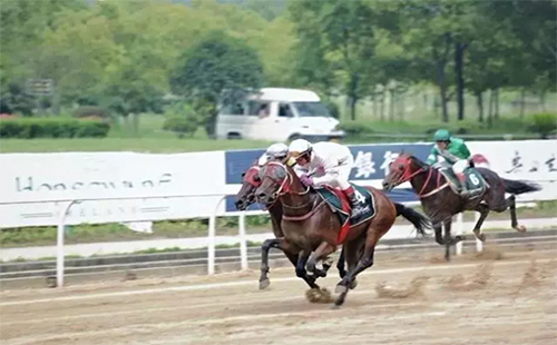 2019中國(guó)武漢速度賽馬公開賽上半程結(jié)果