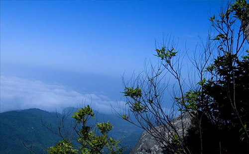 浠水三角山門票是多少（門票要提前預(yù)定嗎+滑雪場(chǎng)門票+優(yōu)惠政策）