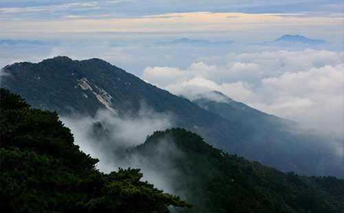 浠水三角山營(yíng)業(yè)時(shí)間（電話+地址+坐車怎么去）