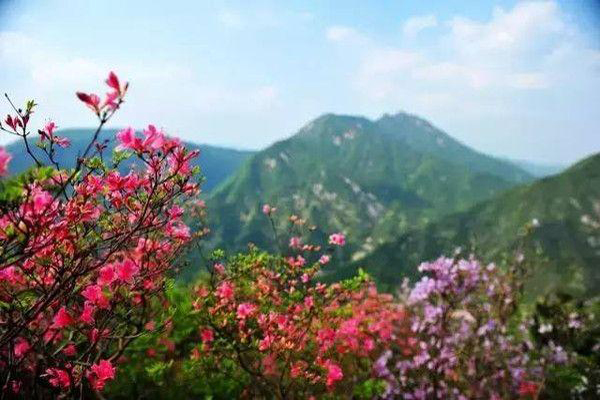黃岡.jpg
