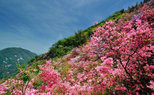 黃岡有什么好玩的地方 黃岡旅游景點(diǎn)