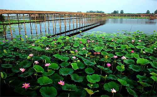洪湖生態(tài)旅游風(fēng)景區(qū)好玩嗎（門票+ 景點(diǎn)）
