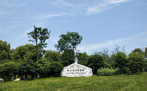 荊州楚王車(chē)馬陣景區(qū)有什么好玩的 門(mén)票多少