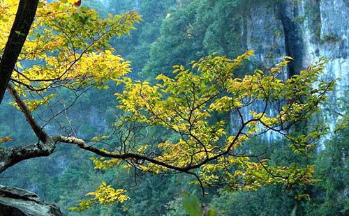 武漢周邊旅游有什么好玩的地方（推薦景點）