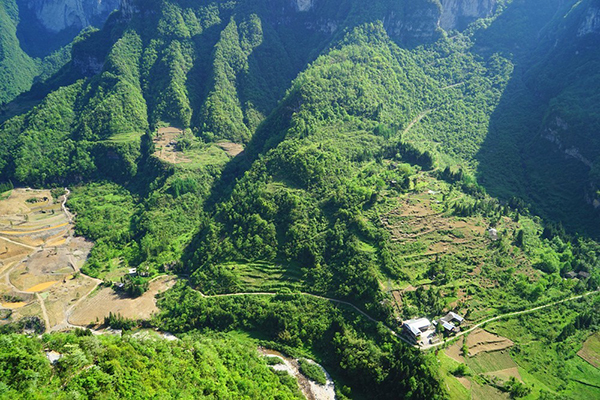 武漢到鹿院坪旅游怎么樣 鹿院坪有哪些好玩的