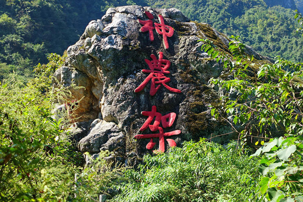 武漢到神農(nóng)架旅游怎么樣 2019神農(nóng)架旅游攻略大全（景點推薦+聯(lián)系方式）