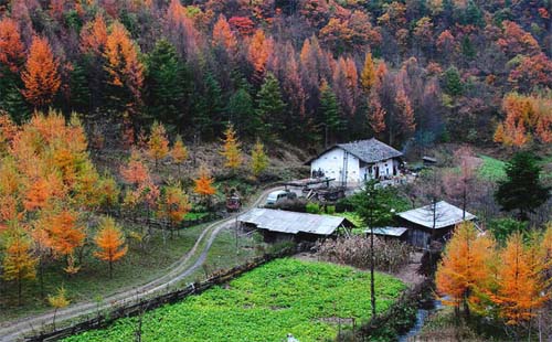 湖北神農(nóng)架有幾個景區(qū)幾個景點組成（旅游攻略）