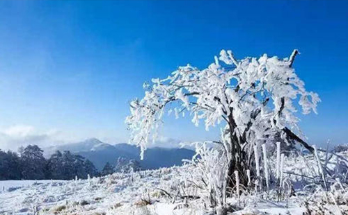 湖北神農(nóng)架迎來今年首場降雪 適合滑雪的地點(diǎn)推薦