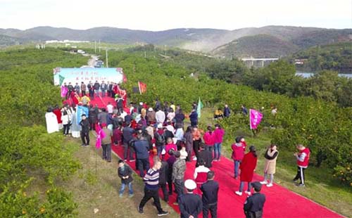 武漢周邊丹江口江口桔鄉(xiāng)橘子采摘園時(shí)間地點(diǎn)