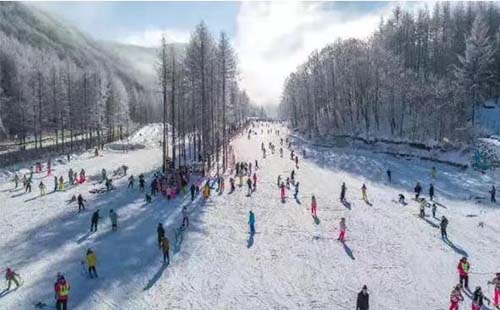 神農(nóng)架中和國(guó)際滑雪場(chǎng)門票免費(fèi)送2020