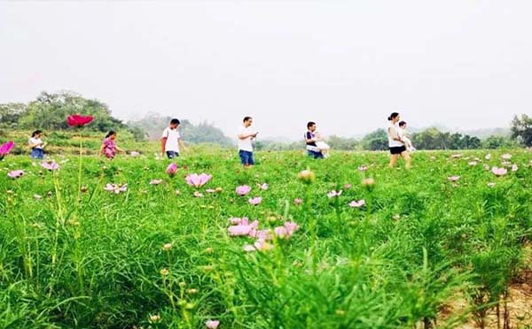 婁底歸古景區(qū)對(duì)全國醫(yī)護(hù)人員免費(fèi)一年