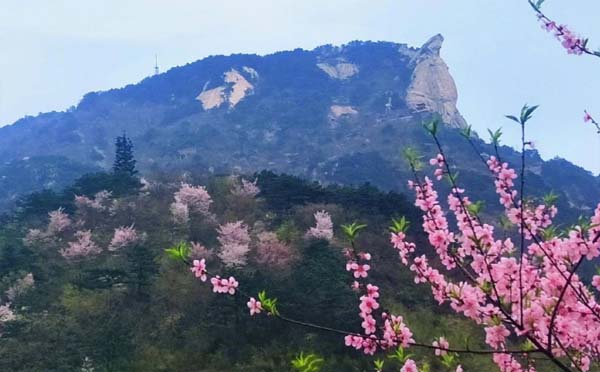 麻城龜峰山風(fēng)景區(qū)門票價(jià)格_網(wǎng)上預(yù)訂_電話號(hào)碼