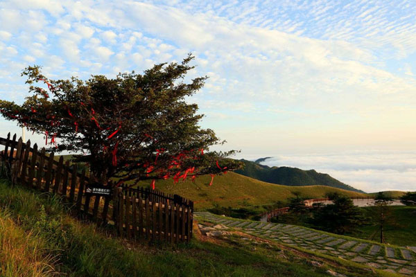 百里荒露營(yíng)攻略 景區(qū)門票多少錢