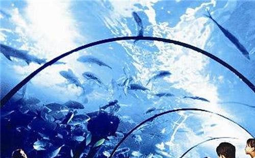 武漢免費(fèi)景點(diǎn)兒童沒(méi)有身份證怎么預(yù)約 兒童需要預(yù)約嗎