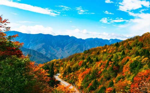 2020年神農(nóng)架紅葉什么時(shí)候最紅