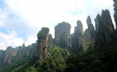 神農(nóng)架和張家界哪個(gè)地方好玩 哪個(gè)更有游玩價(jià)值
