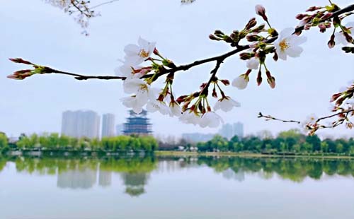 3月湖北天門有什么好玩的旅游景點(diǎn)