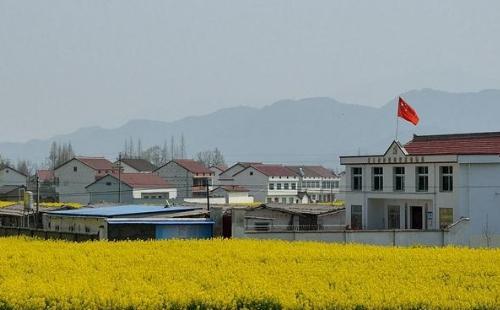 2021荊門油菜花節(jié)時間地點推薦