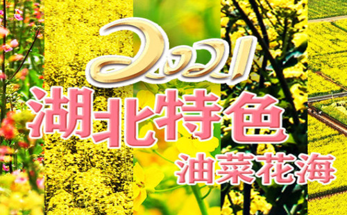 湖北十大油菜花海一覽2021（花期+地址+景點）