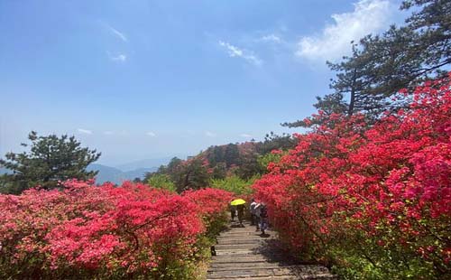 龜峰山景區(qū)2021旅游年卡價格