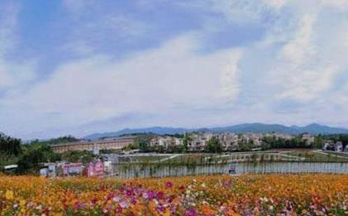 龍門花海景區(qū)開放了嗎2021