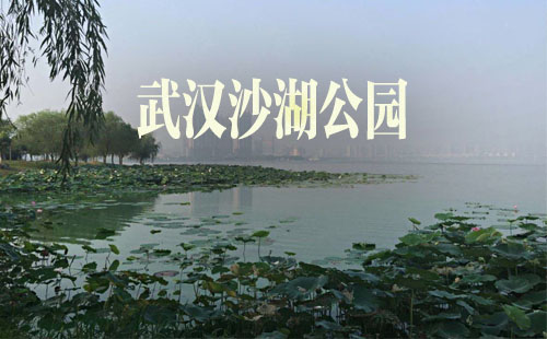 沙湖公園介紹_沙湖公園怎么走_沙湖公園游玩攻略