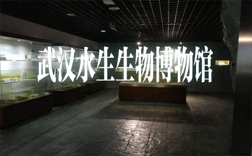 武漢水生生物博物館門票_開放時間_預(yù)約方式