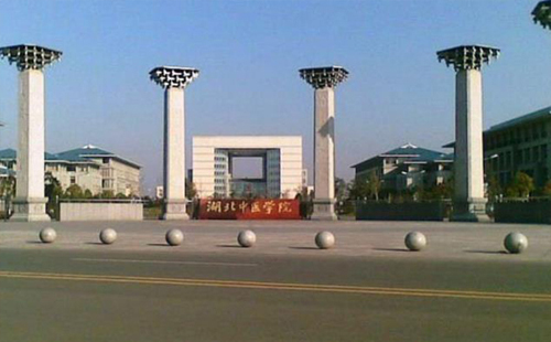 湖北中醫(yī)藥大學附屬醫(yī)院有哪些_地址_官網(wǎng)