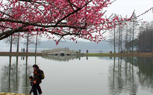 武漢東湖梅園梅花介紹_開花時(shí)間_怎么坐車