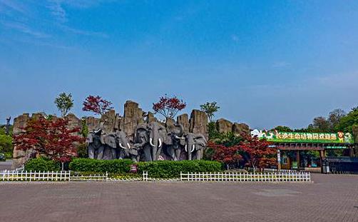 長沙生態(tài)動物園門票_演出時間_地址_攻略