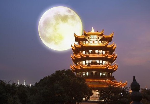 1614930510221375.jpg 3.jpg