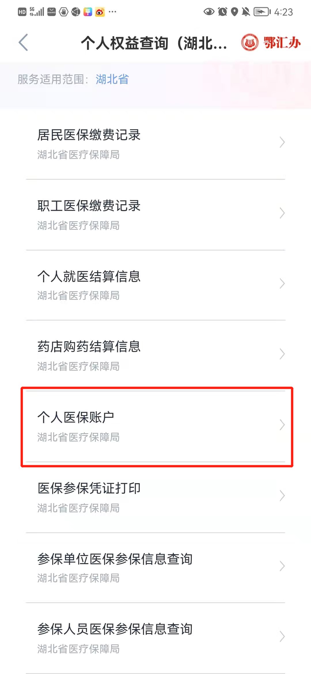 武漢醫(yī)保網(wǎng)上查詢辦法