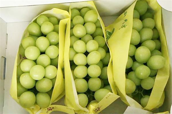 1598250078419735.jpg timg (4).jpg