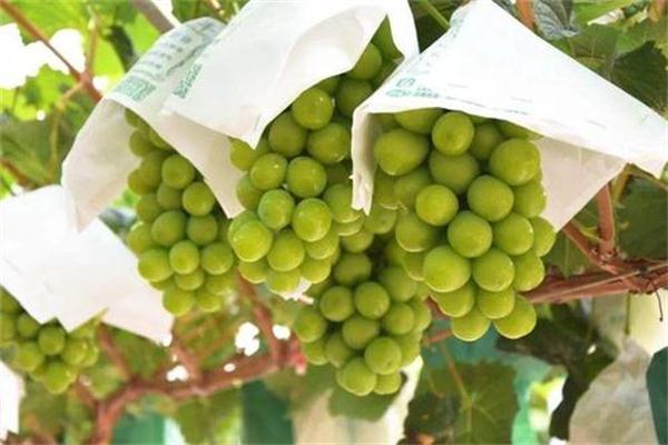 1598250085954032.jpg u=2613050775,2456524100&fm=26&gp=0.jpg