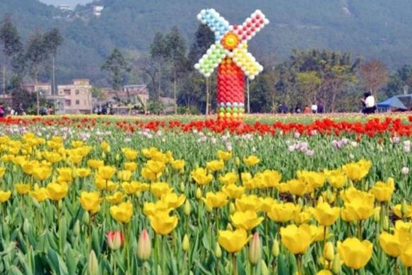 武漢郁金香主題公園.jpg