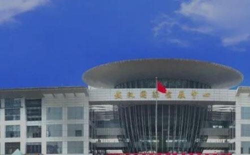 武漢國際會展中心交通指南(地鐵+公交+自駕)