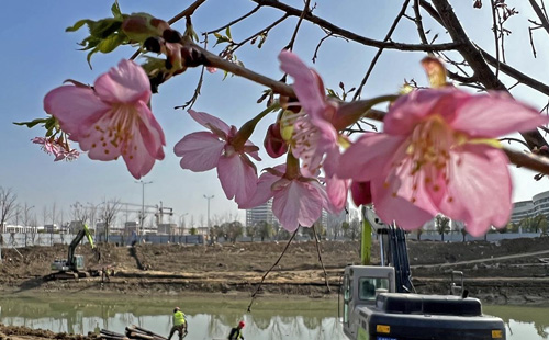 公園1.jpg