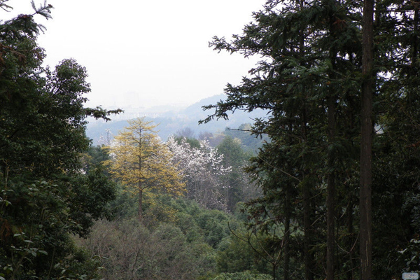 潛山3.jpg