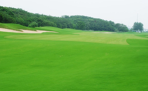 未標(biāo)題-1.jpg