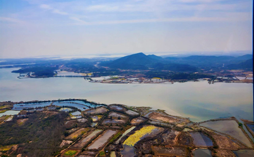 未標(biāo)題-1.jpg