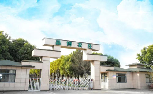 武漢晶博農莊地址+營業(yè)時間+折扣+優(yōu)惠+套餐